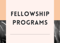 Global Platform for Action Climate and Sustainability Academy Fellowship: Complete Information on funding information, eligibility criteria and application process