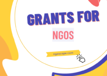 Apply for Grants for LGBTQI-led Groups, Organizations and Networks: Complete Information on eligibility criteria and selection process