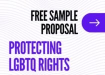 Protecting LGBTQ Rights by Eliminating Discrimination Based on Sexual Orientation and Gender Identity: A Free Sample Proposal for NGOs