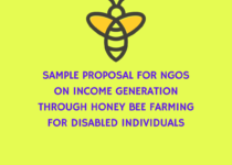 Sample Proposal for NGOs on Income Generation through Honey Bee farming for Disabled Individuals