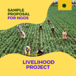 Sample Proposal for NGOs on Livelihood Project