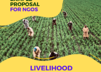 Sample Proposal for NGOs on Livelihood Project