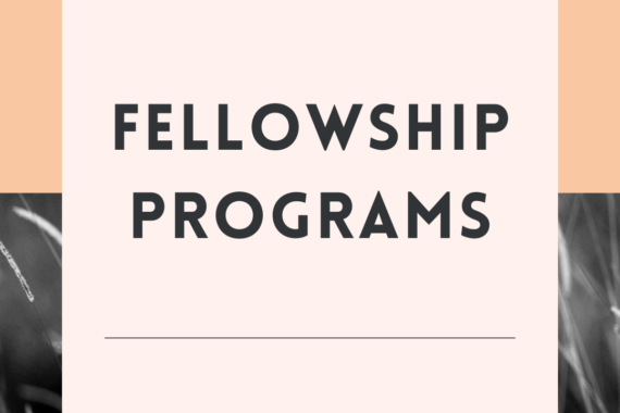 Storytelling with Data Fellowship 2025 Fully Funded: Check Opportunity, funding information, eligibility criteria and application process