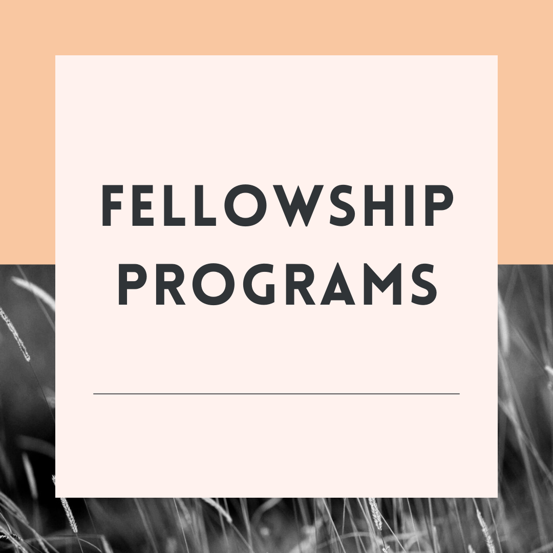 Apply for Stripe Economics of AI Fellowship 2025 Grant Available: Check Opportunity, funding information, eligibility criteria and application process