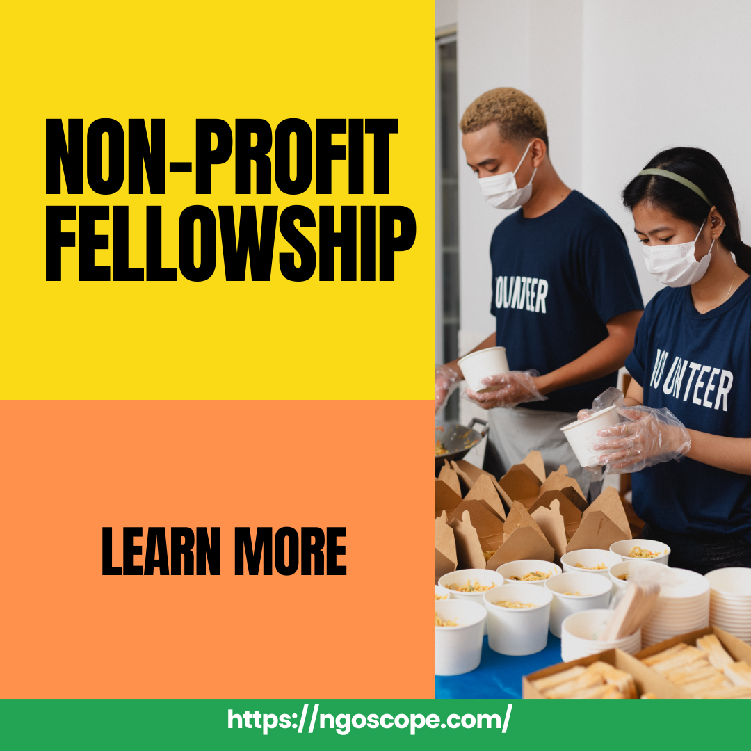 Nonprofit Fellowships: A Future Perspective