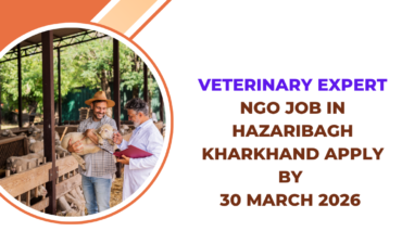 NGO Job in Hazaribagh Kharkhand for Veterinary Expert Apply By 30 March 2026 ngoscope.com