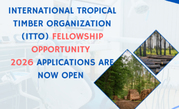 International Tropical Timber Organization (ITTO) Fellowship Opportunity 2026 Applications are now open ngoscope.com