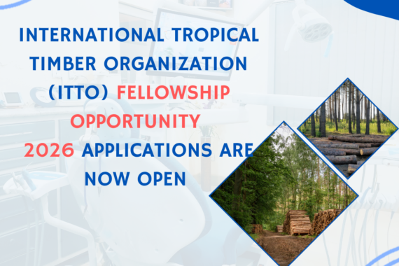 International Tropical Timber Organization (ITTO) Fellowship Opportunity 2026 Applications are now open ngoscope.com