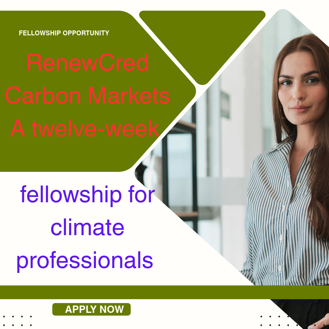 Apply for 2027 RenewCred Carbon Markets A twelve-week fellowship for climate professionals ngoscope.com